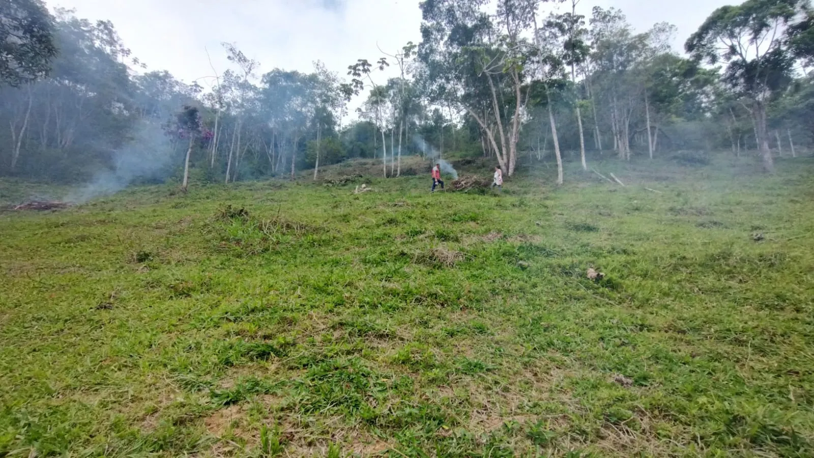 Sítio à venda de 11 ha em Natividade da Serra, SP, Brasil