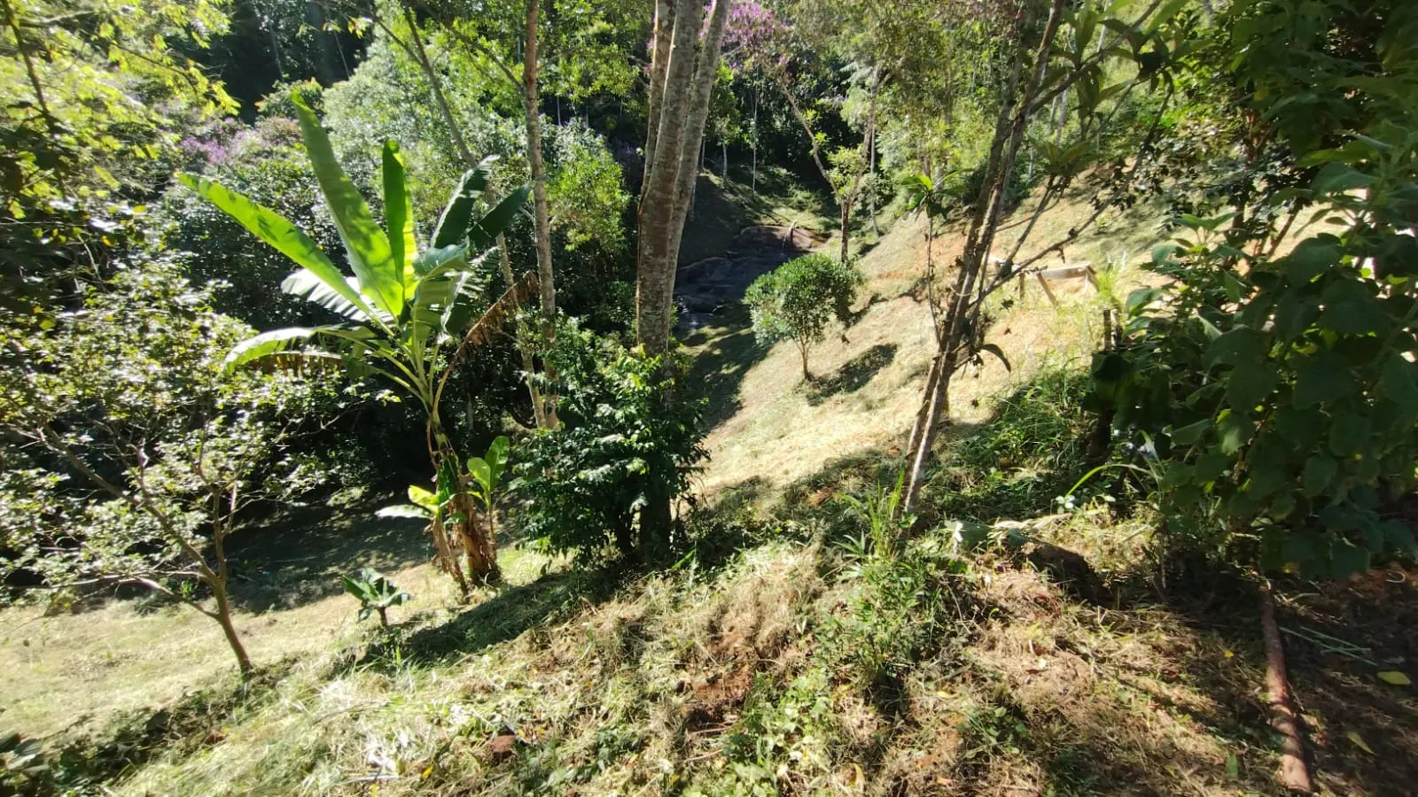 Sítio à venda de 11 ha em Natividade da Serra, SP, Brasil