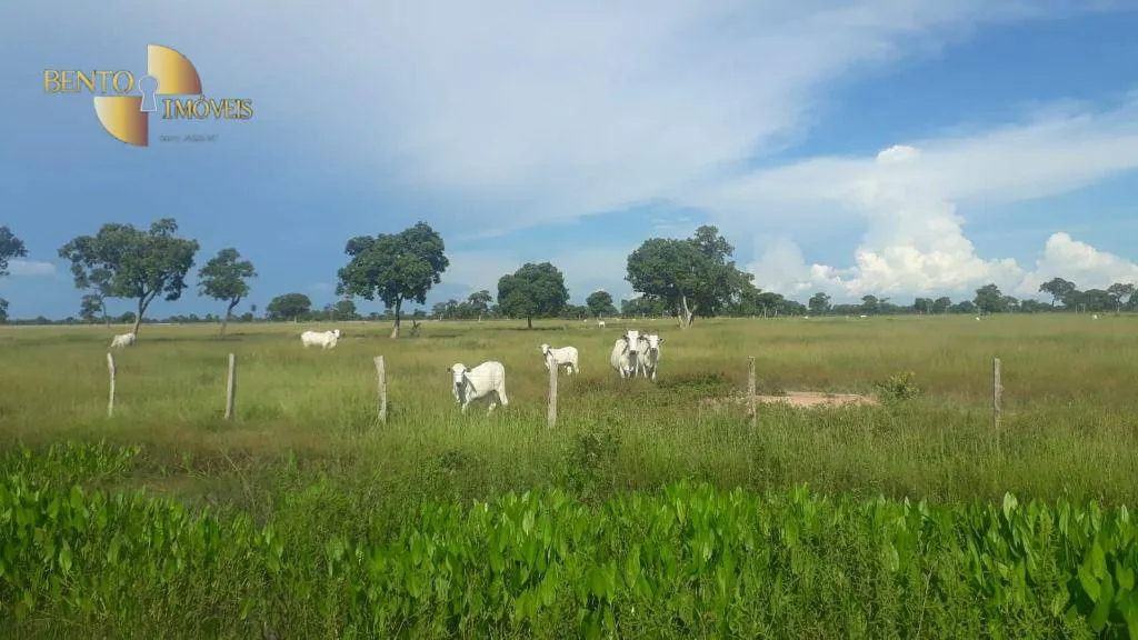 Fazenda à venda de 16.438 ha em Poconé, MT, Brasil