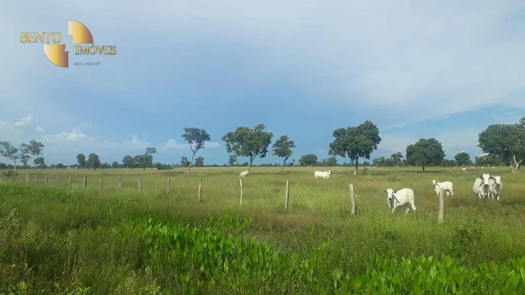 Fazenda à venda de 16.438 ha em Poconé, MT, Brasil