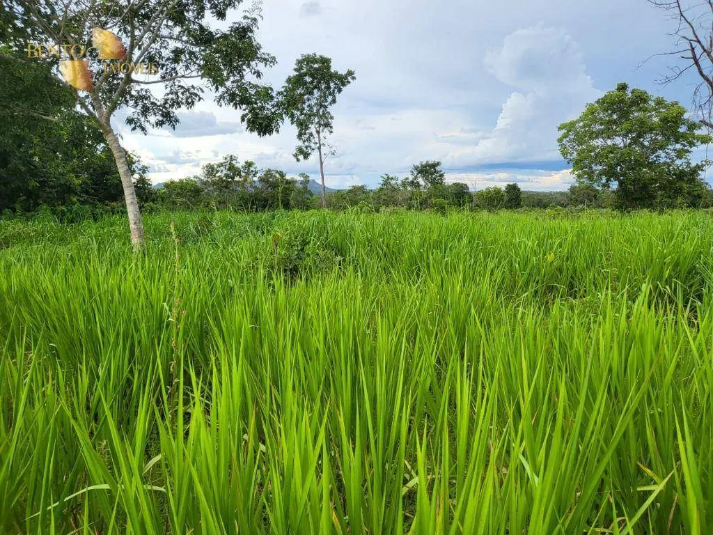 Fazenda à venda de 213 ha em Chapada dos Guimarães, MT, Brasil