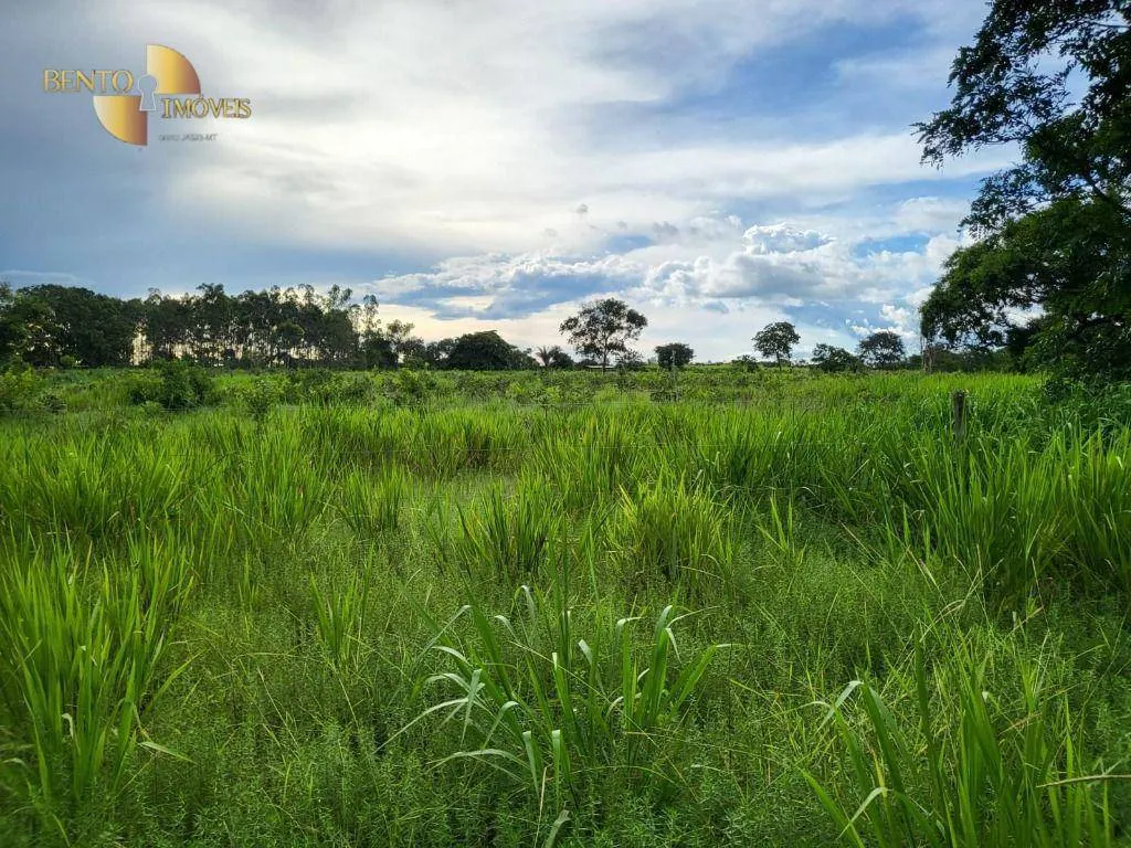 Fazenda à venda de 213 ha em Chapada dos Guimarães, MT, Brasil
