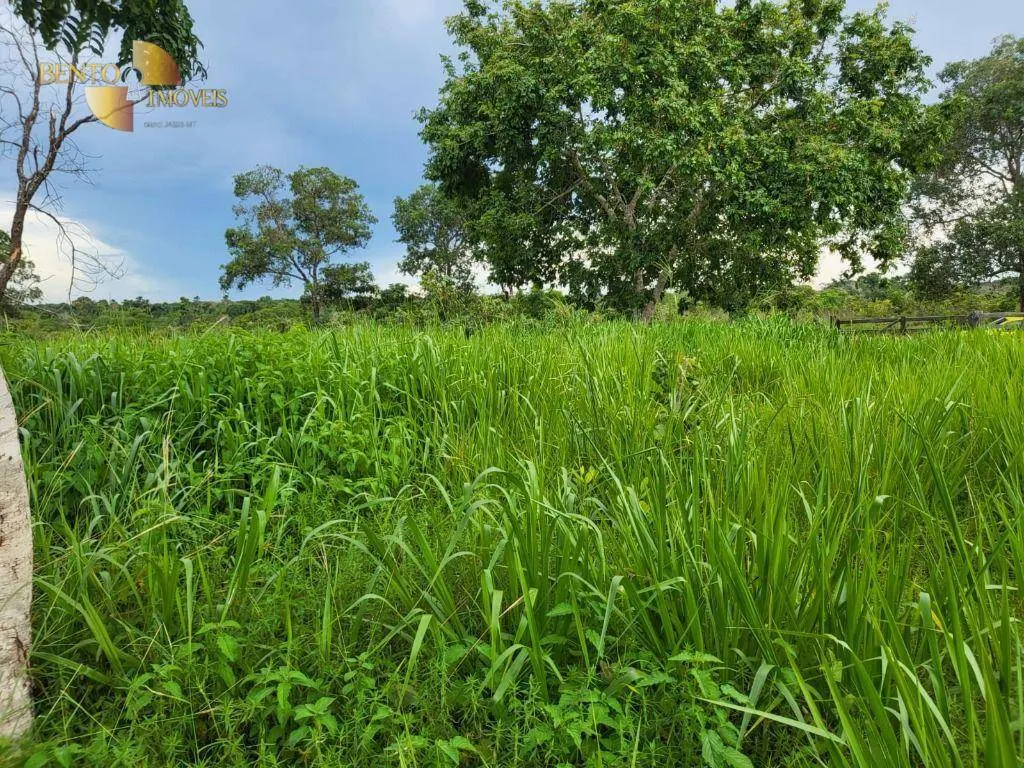 Fazenda à venda de 213 ha em Chapada dos Guimarães, MT, Brasil