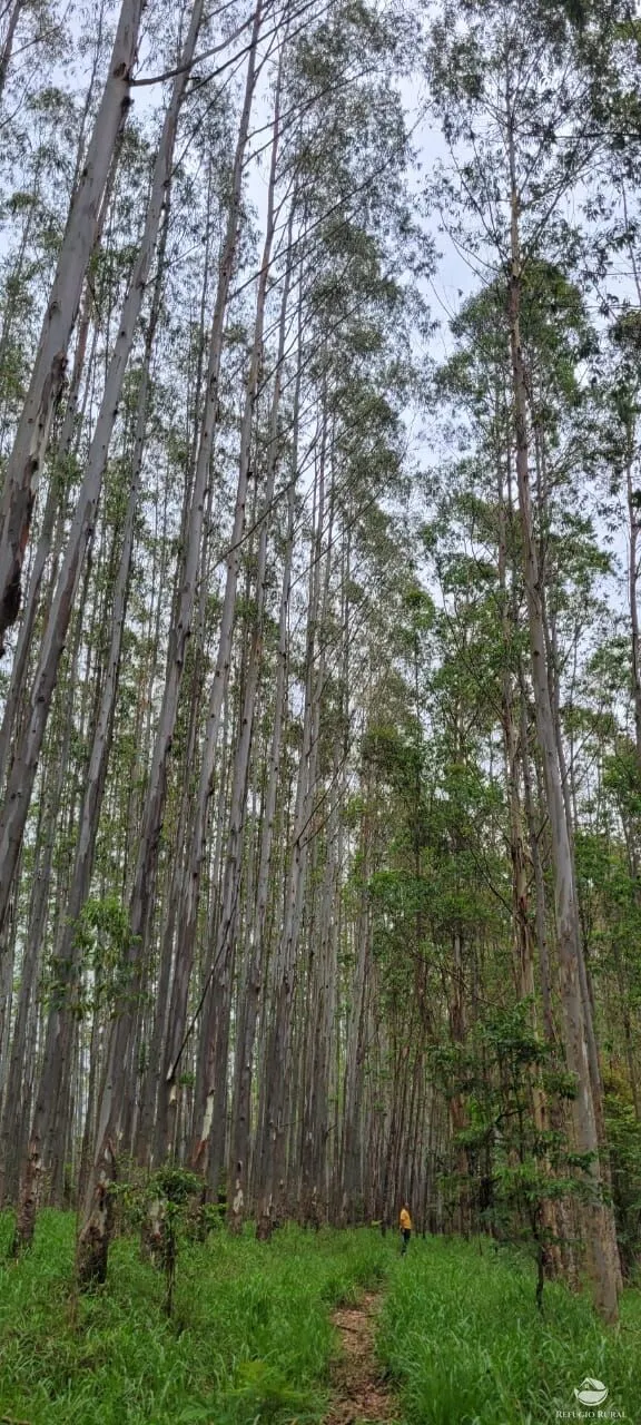 Fazenda à venda de 134 ha em Guaratinguetá, SP, Brasil