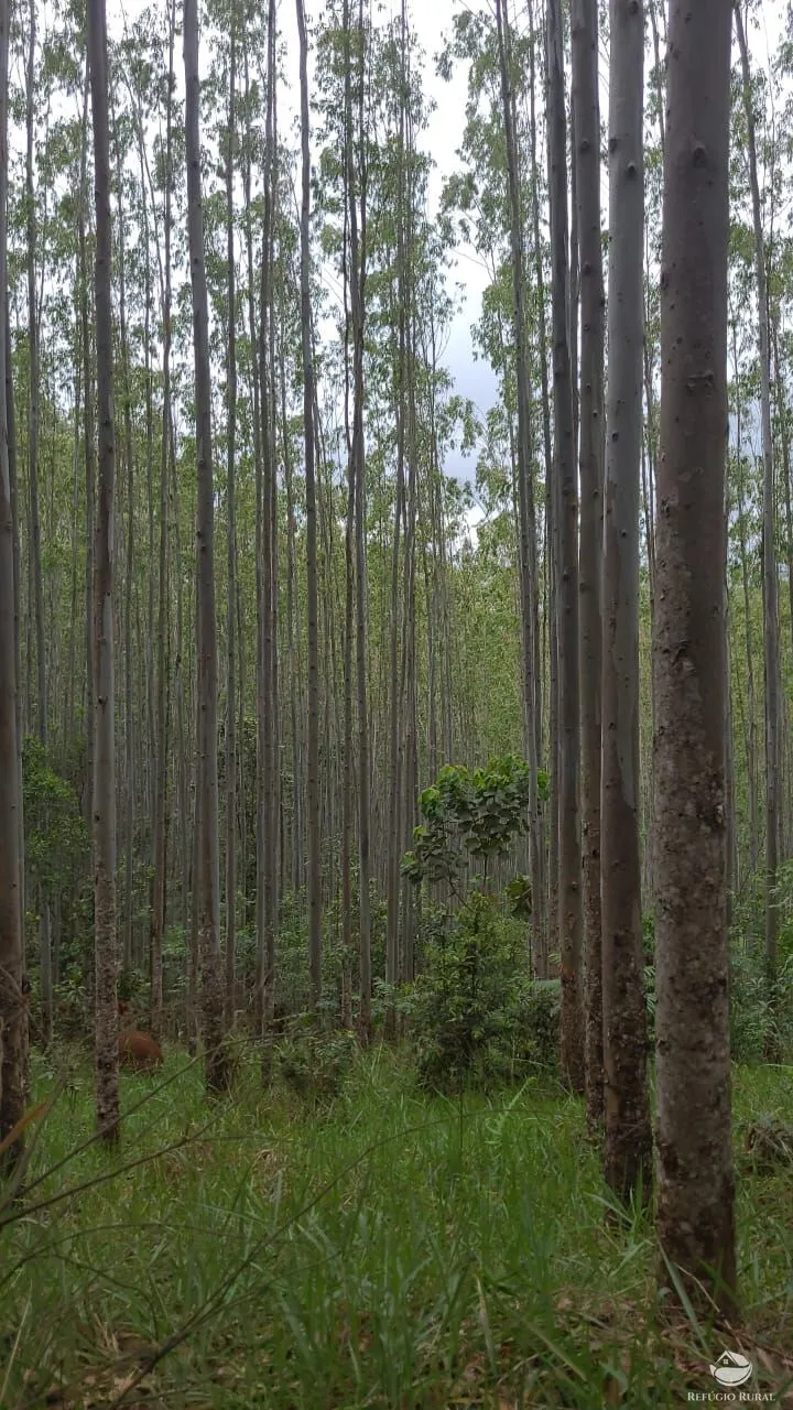 Farm for sale of 331 acres in Guaratinguetá, SP, Brazil