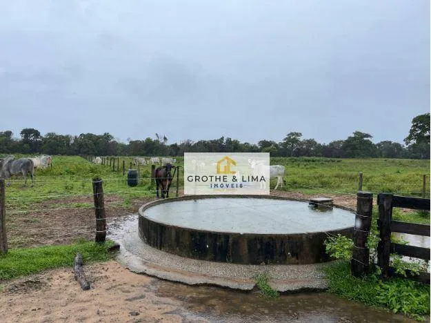 Fazenda à venda de 1.162 ha em Cocalinho, MT, Brasil