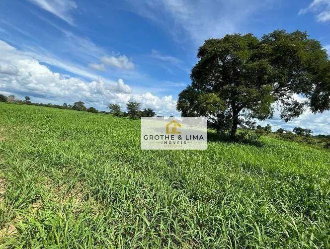 Fazenda à venda de 1.162 ha em Cocalinho, MT, Brasil