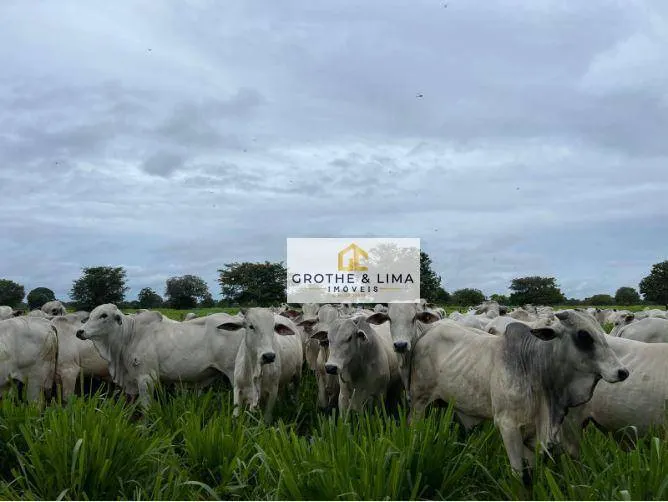 Fazenda à venda de 1.162 ha em Cocalinho, MT, Brasil