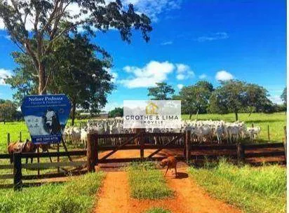Fazenda à venda de 1.162 ha em Cocalinho, MT, Brasil