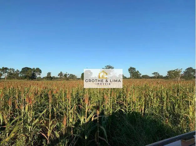 Fazenda à venda de 1.162 ha em Cocalinho, MT, Brasil