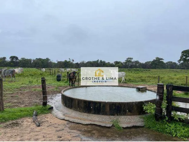 Fazenda à venda de 1.162 ha em Cocalinho, MT, Brasil