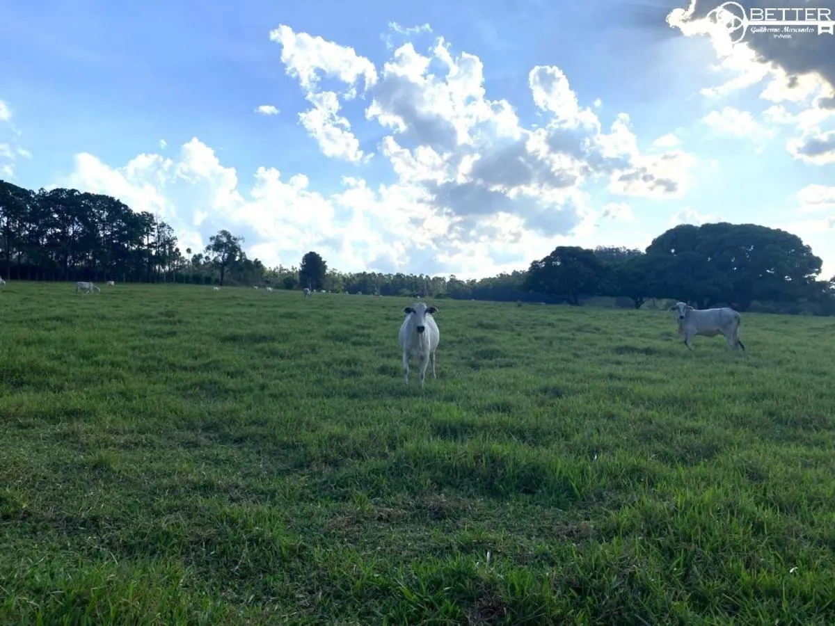 Small farm for sale of 49 acres in Itu, SP, Brazil