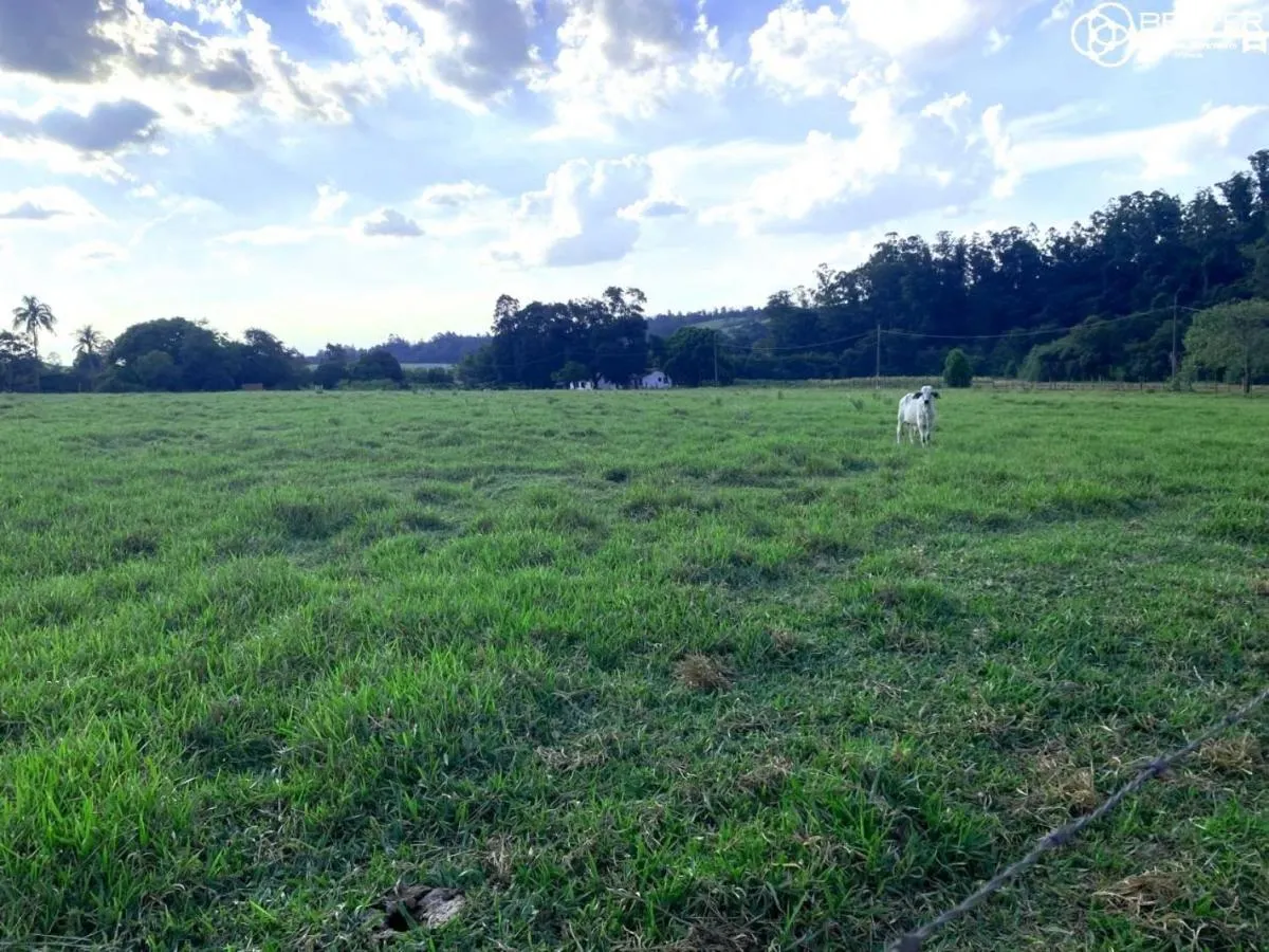 Small farm for sale of 49 acres in Itu, SP, Brazil