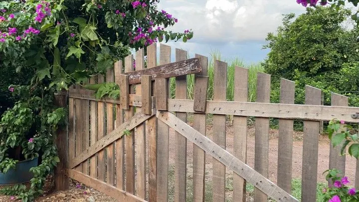 Chácara à venda de 1 ha em Nova Hartz, RS, Brasil