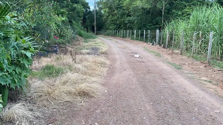 Chácara à venda de 1 ha em Nova Hartz, RS, Brasil