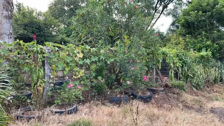 Chácara à venda de 1 ha em Nova Hartz, RS, Brasil