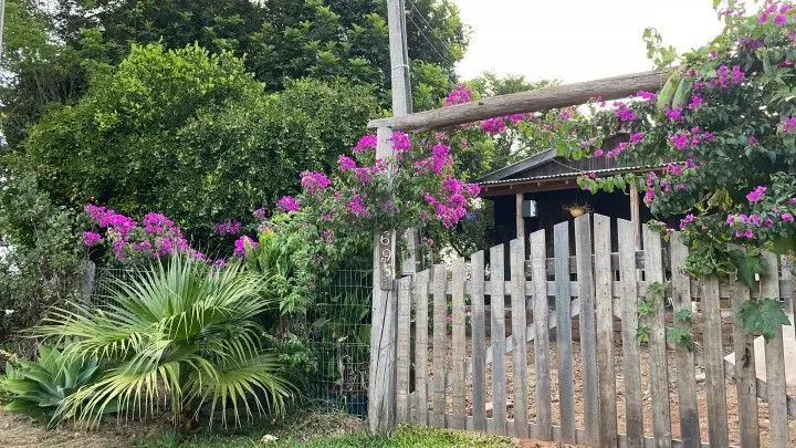 Chácara à venda de 1 ha em Nova Hartz, RS, Brasil