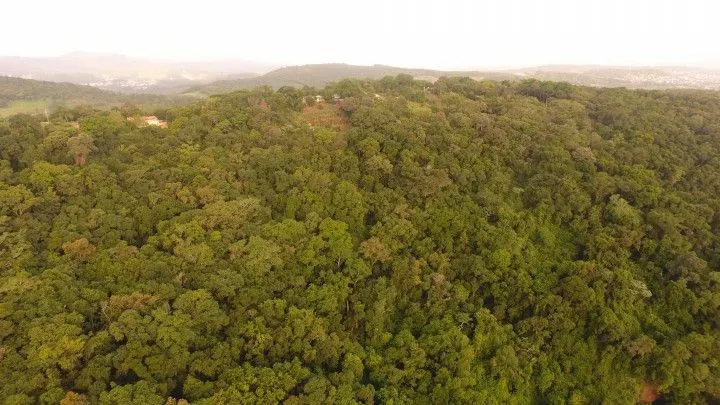 Chácara à venda de 1 ha em Nova Hartz, RS, Brasil
