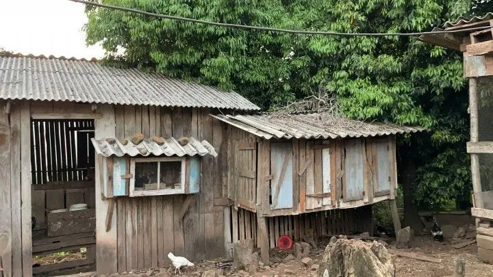Chácara à venda de 1 ha em Nova Hartz, RS, Brasil