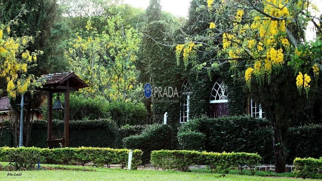 Fazenda à venda de 182 ha em Porto Ferreira, SP, Brasil