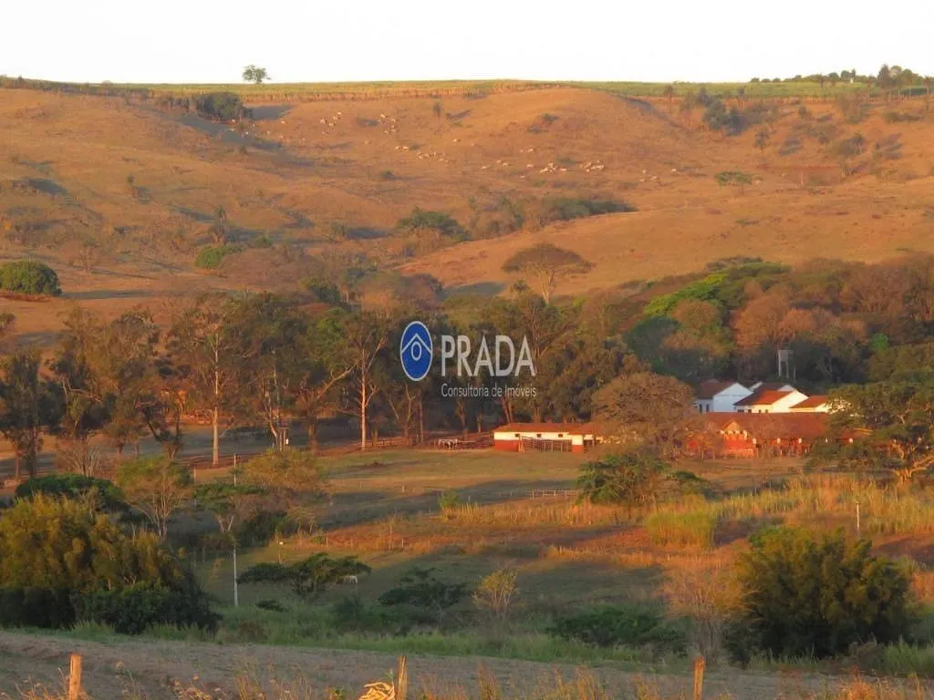 Fazenda à venda de 182 ha em Porto Ferreira, SP, Brasil