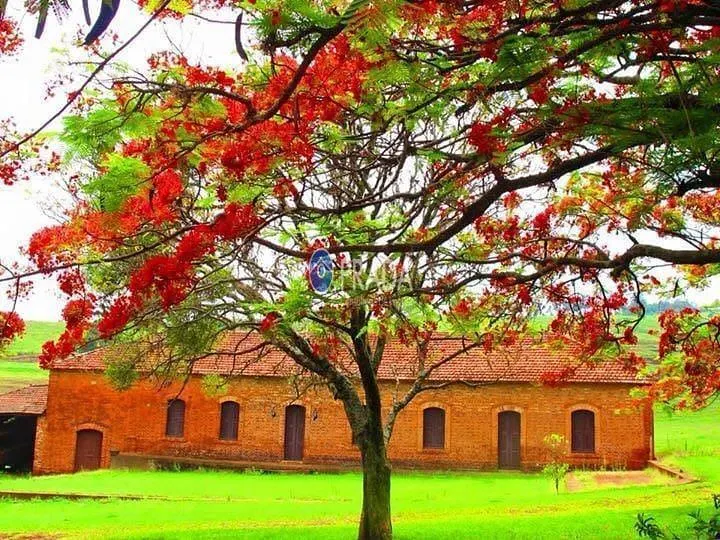 Fazenda à venda de 182 ha em Porto Ferreira, SP, Brasil