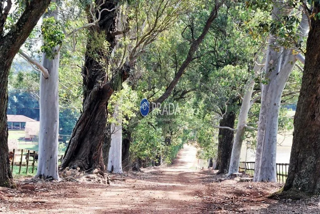Fazenda à venda de 182 ha em Porto Ferreira, SP, Brasil
