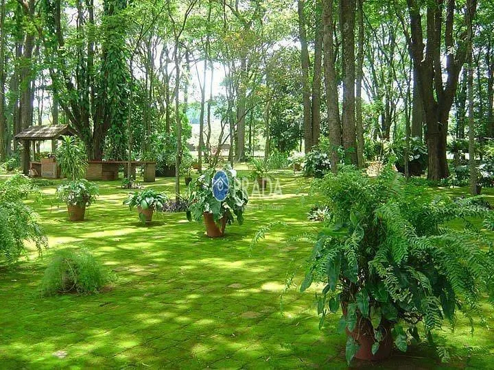 Fazenda à venda de 182 ha em Porto Ferreira, SP, Brasil