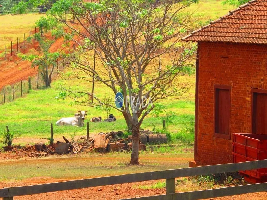 Fazenda à venda de 182 ha em Porto Ferreira, SP, Brasil