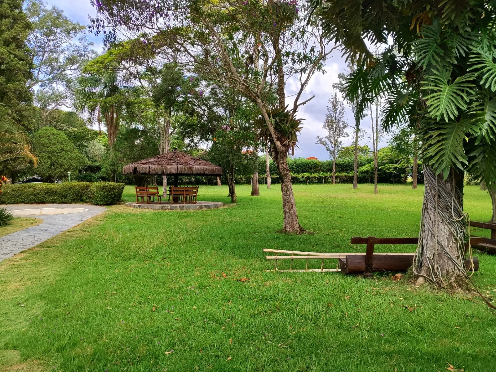 Sítio à venda de 61 ha em Itapetininga, SP, Brasil
