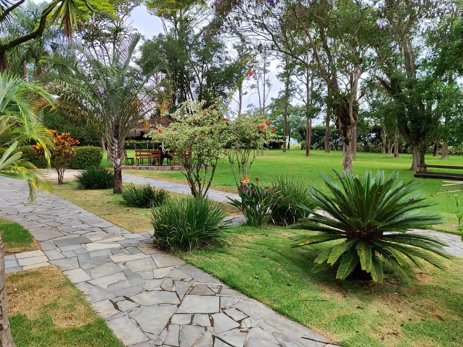 Sítio à venda de 61 ha em Itapetininga, SP, Brasil