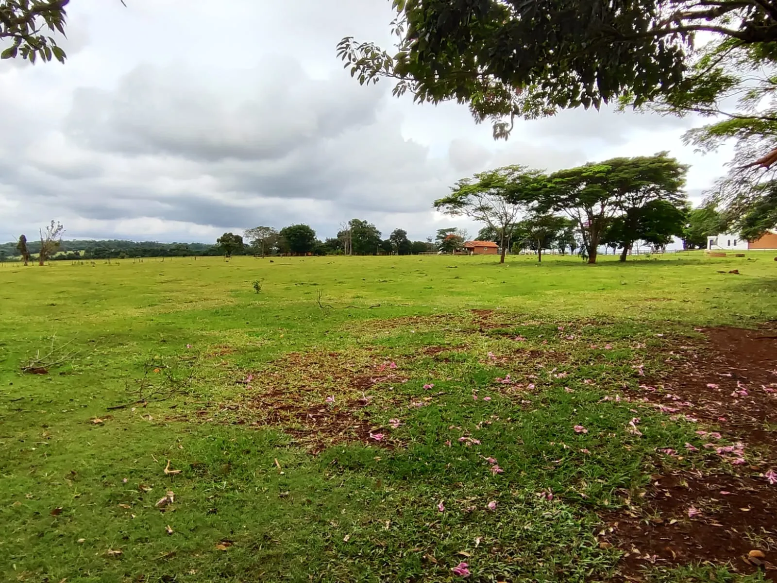 Sítio à venda de 61 ha em Itapetininga, SP, Brasil