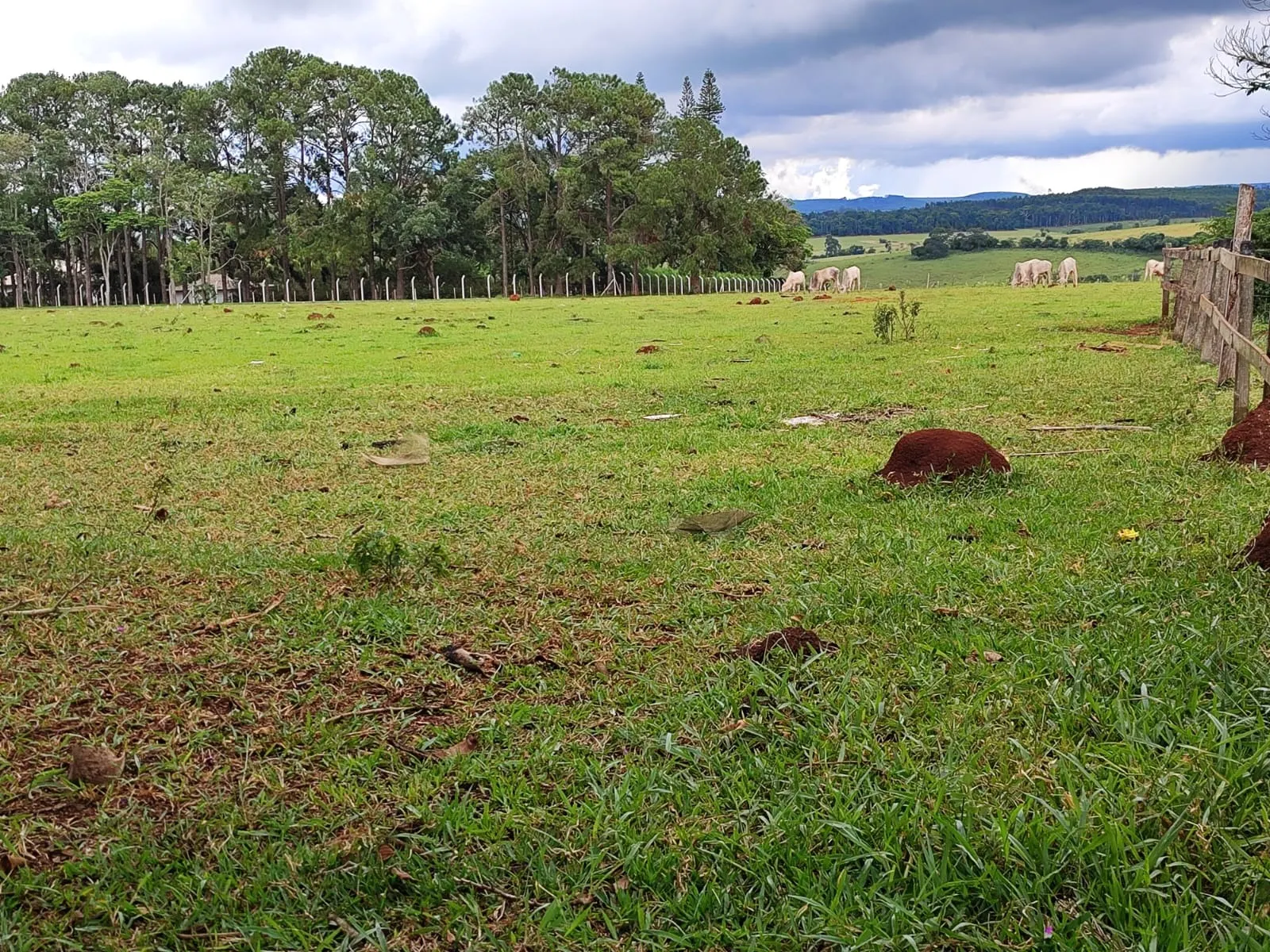 Sítio à venda de 61 ha em Itapetininga, SP, Brasil