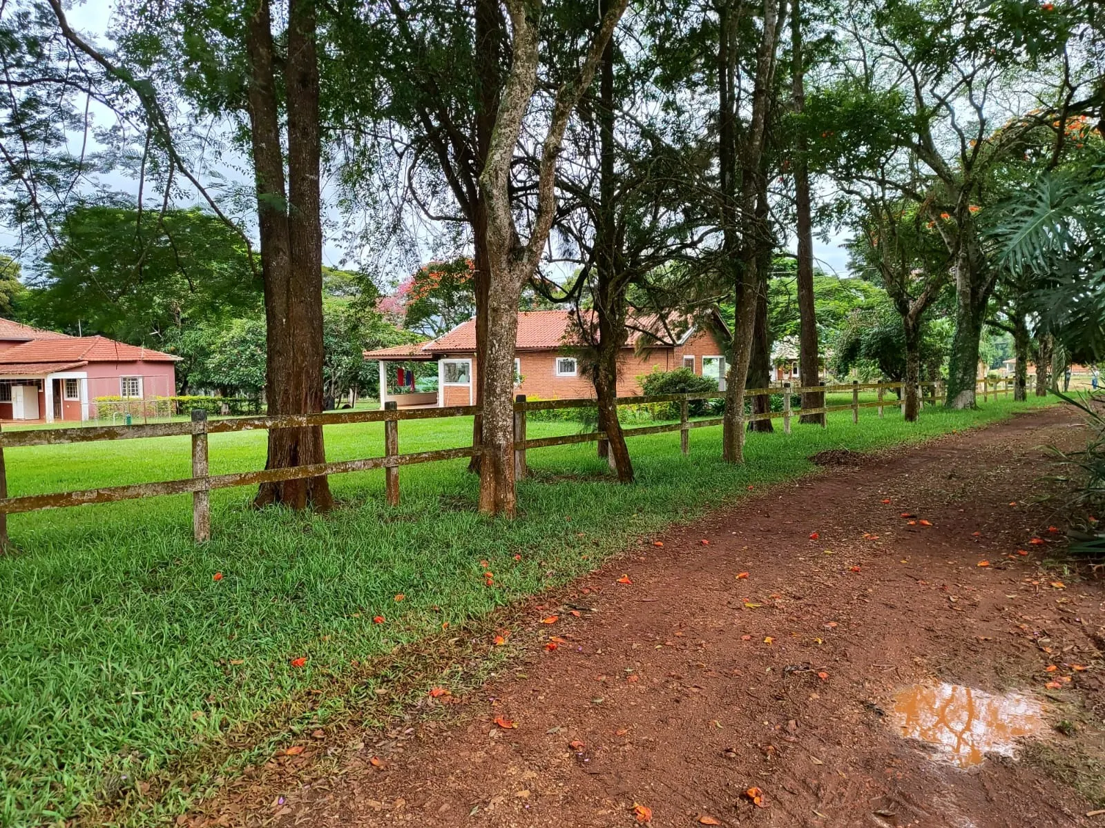 Sítio à venda de 61 ha em Itapetininga, SP, Brasil
