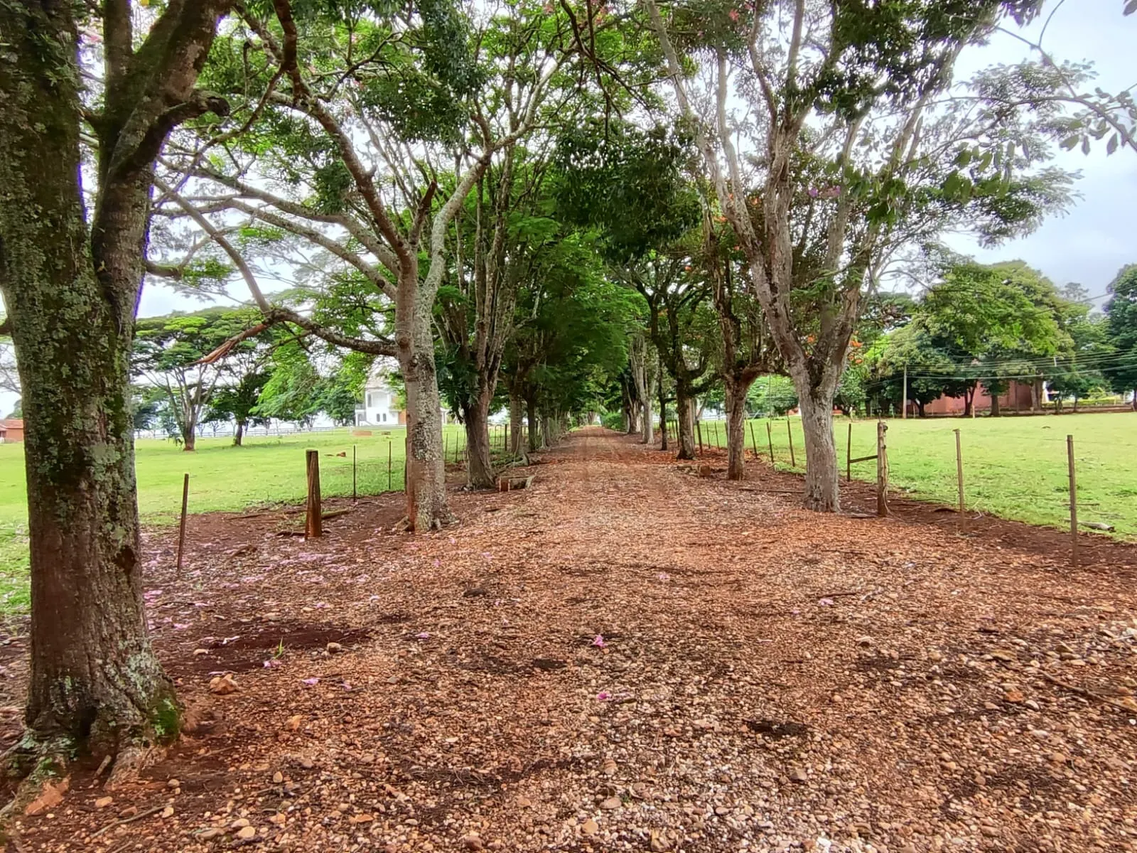 Sítio à venda de 61 ha em Itapetininga, SP, Brasil
