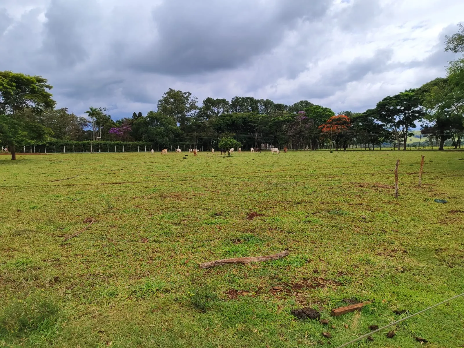 Sítio à venda de 61 ha em Itapetininga, SP, Brasil