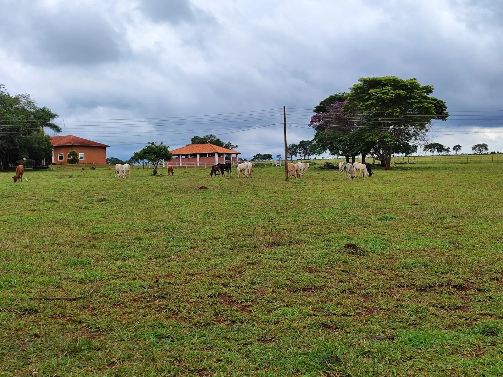 Sítio à venda de 61 ha em Itapetininga, SP, Brasil
