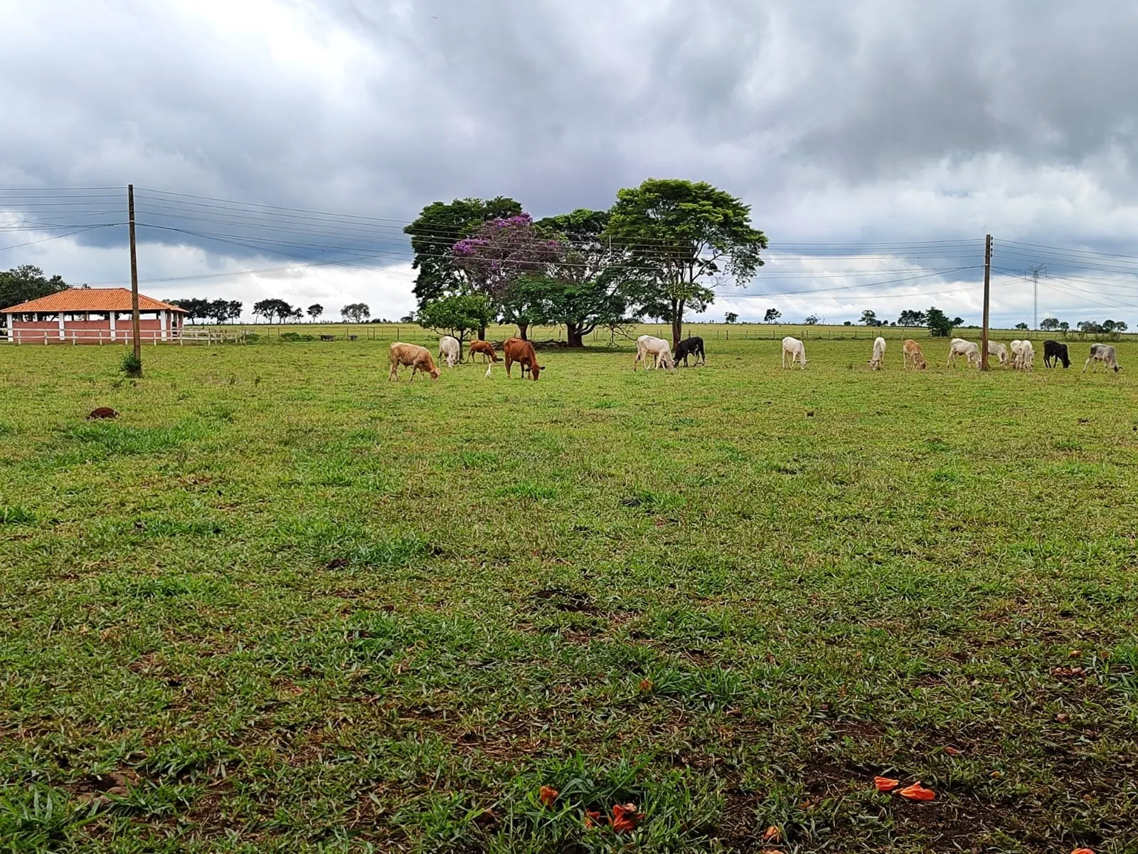 Sítio à venda de 61 ha em Itapetininga, SP, Brasil