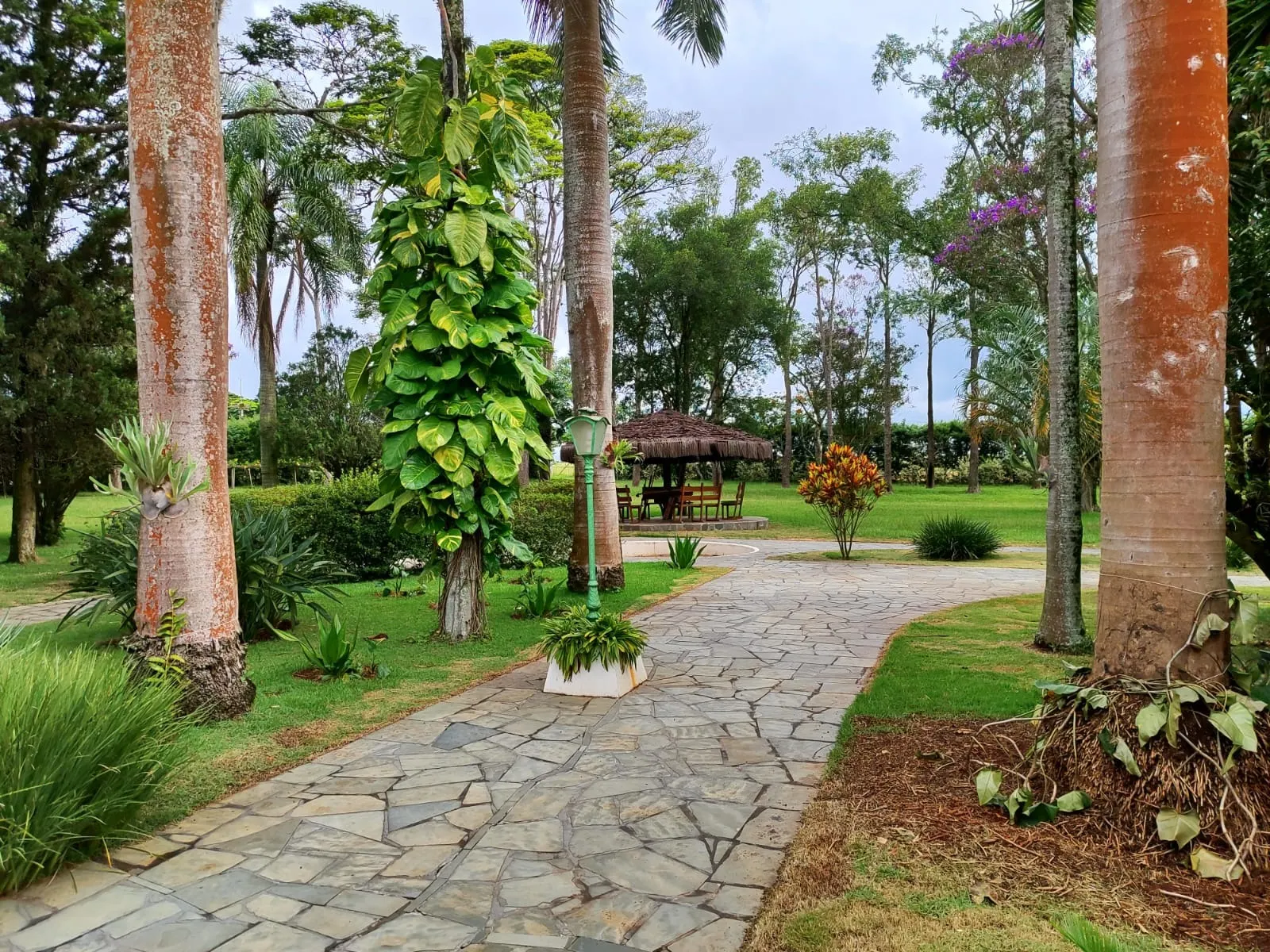 Sítio à venda de 61 ha em Itapetininga, SP, Brasil