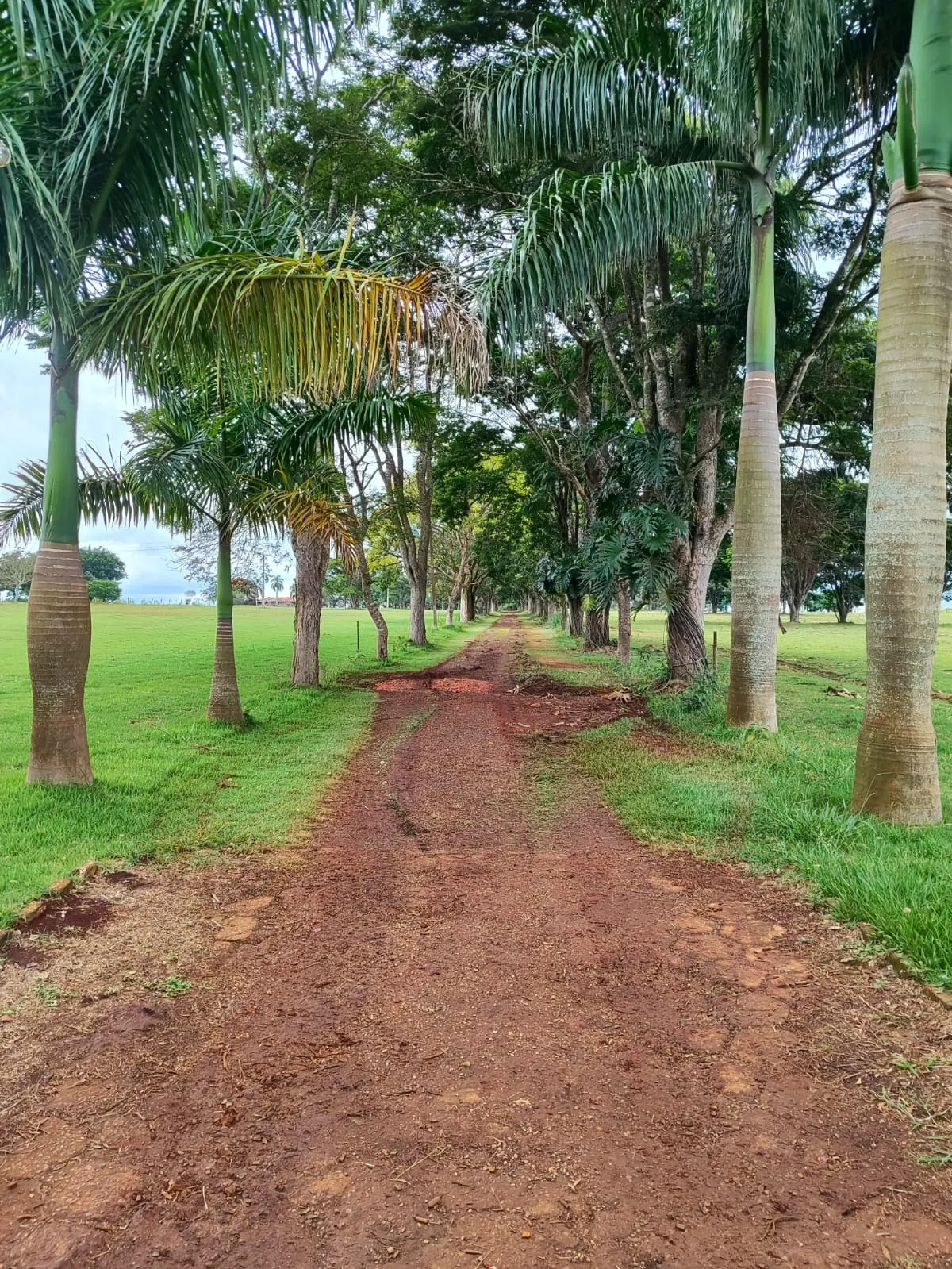 Sítio à venda de 61 ha em Itapetininga, SP, Brasil