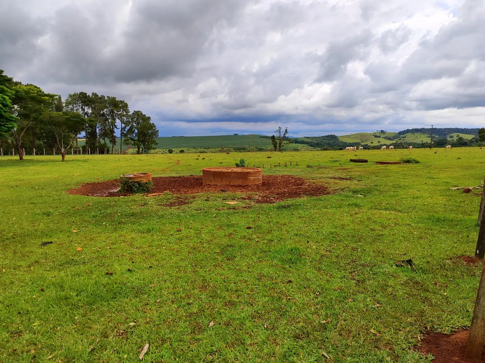 Sítio à venda de 61 ha em Itapetininga, SP, Brasil