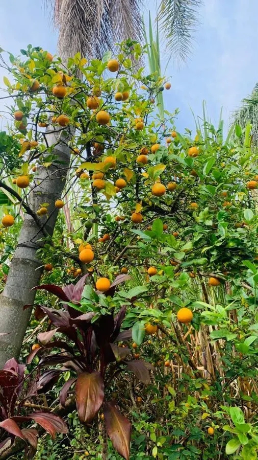 Chácara à venda de 1.512 m² em Mairinque, SP, Brasil