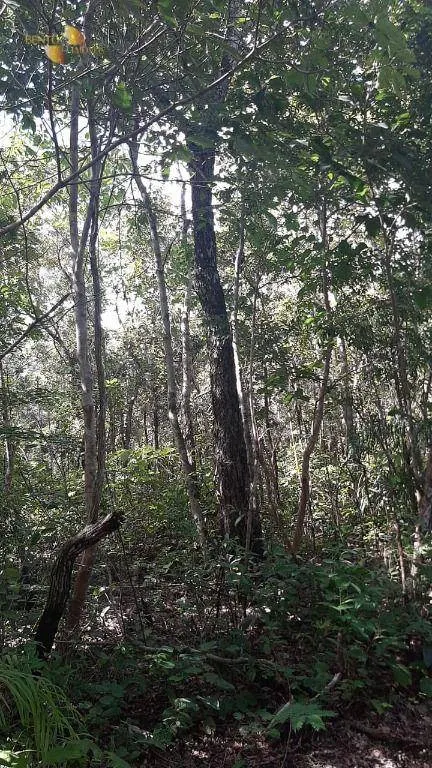 Fazenda à venda de 976 ha em Chapada dos Guimarães, MT, Brasil