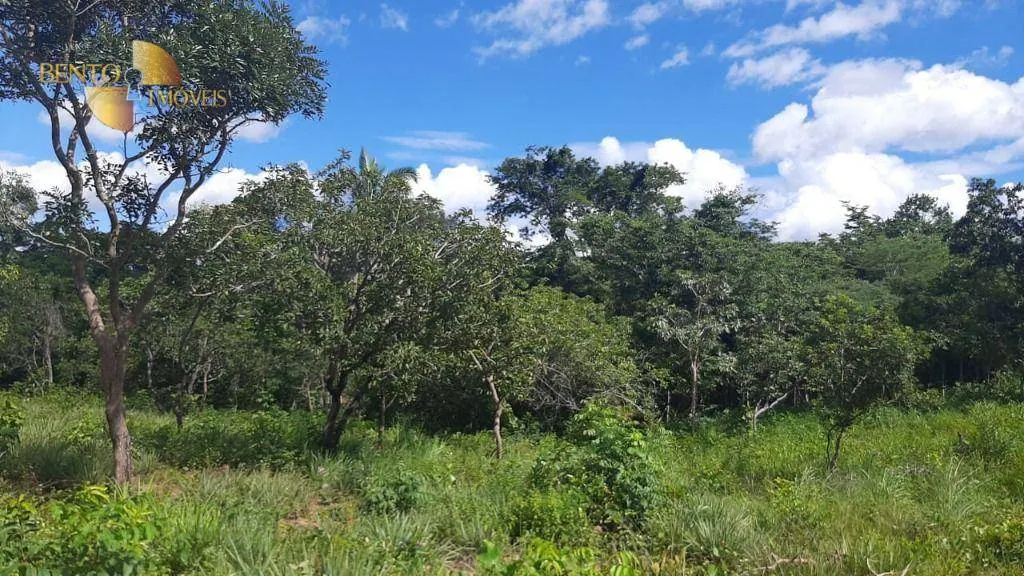 Fazenda à venda de 976 ha em Chapada dos Guimarães, MT, Brasil