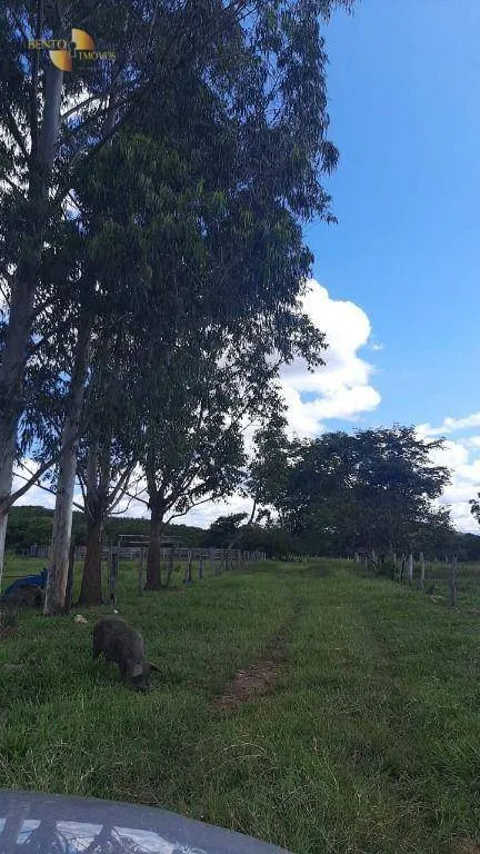 Fazenda à venda de 976 ha em Chapada dos Guimarães, MT, Brasil