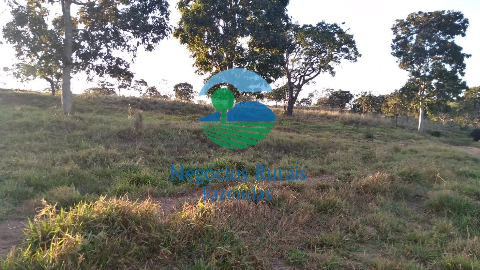 Sítio à venda de 53 ha em Pirenópolis, GO, Brasil