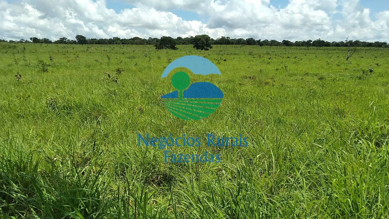 Small farm for sale of 131 acres in Pirenópolis, GO, Brazil