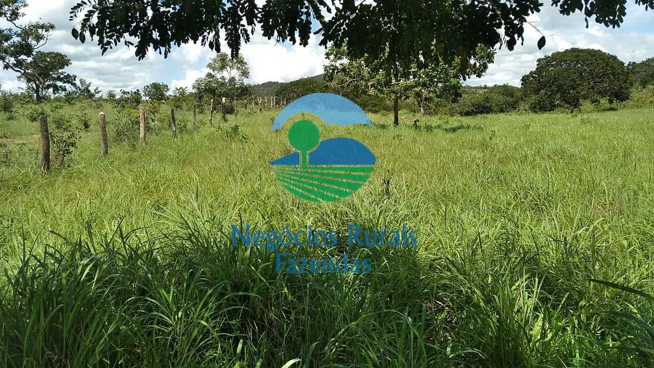 Sítio à venda de 53 ha em Pirenópolis, GO, Brasil