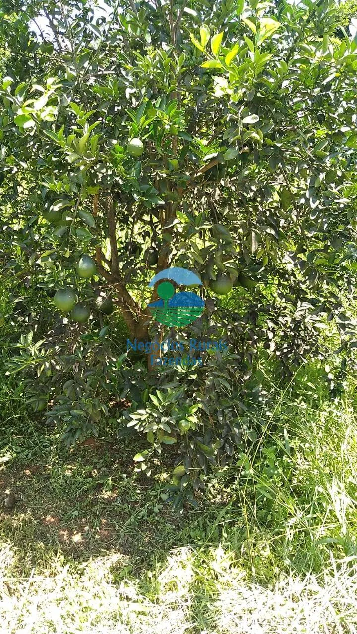 Sítio à venda de 53 ha em Pirenópolis, GO, Brasil