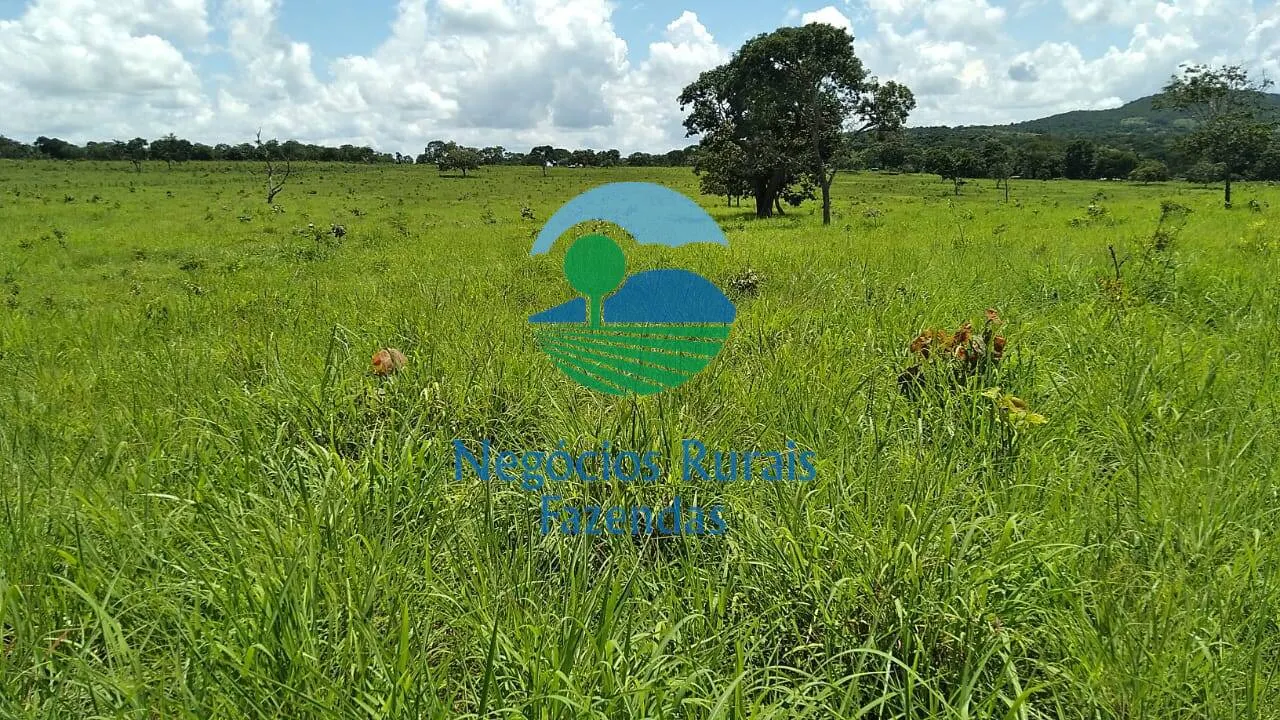 Sítio à venda de 53 ha em Pirenópolis, GO, Brasil